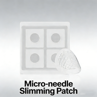 Nouveaux produits : Patchs amincissants micro-aiguilles entièrement naturels et efficaces pour la perte de poids, réducteurs de graisse abdominale et de tour de taille