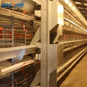 Layer Chicken Battery Cage H Type Battery Layer Eggs Chicken Egg Laying Hens Chicken Cage