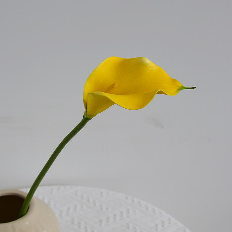 สีเหลือง