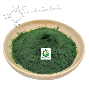 Fruiterco Water Soluble Sodium Copper Chlorophyllin Chlorophyll Powder