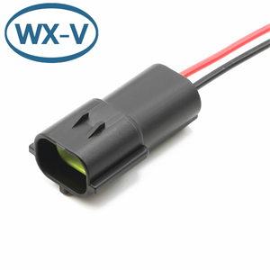 174354-2 DJ70216Y-1.8-11 Harness 21 konektor antiair 174354-2 174352-2 konektor otomotif 2 lubang - Product Image 6