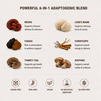 Poudre de café instantanée Reishi en marque blanche OEM – Mélange adaptogène multi-champignons pour la clarté cognitive et la défense système