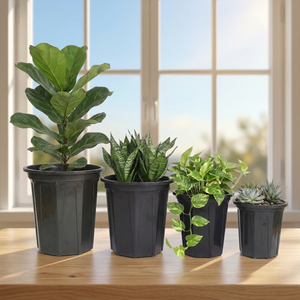 Jardinières modernes en plastique pour plantes vertes d'intérieur, utilisation sur bureau, design minimaliste, matériau PP, pots réutilisables avec excellent B300 - Product Image 1
