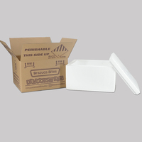 Petite boîte d'expédition isotherme en polystyrène avec couvercle, glacière réutilisable Thermo Chill pour emballages médicaux et produits sensibles à la température