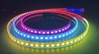 Tira de Luces LED de Píxeles de Grado Premium Programable UCS2903 RGB DC24V 60Leds 10Píxeles/m para Decoración de Fiestas y Navidad