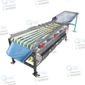 Factory Automatic Commercial Fruit Sorting and Grading Machine Passion Fruit Grading Machine Grading Machine for Fruit