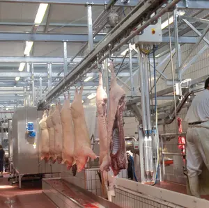 Pemasok BAGUS peralatan rumah jagal babi lengkap kunci putar untuk jalur Abattoir penjualan tanaman Butchery ternak