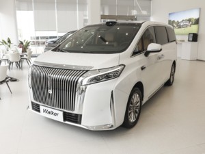 Plug-in ibrido medio e grande MPV 5 porte 7 posti MPV Changcheng grande muro WEI WEY High Mountain Car 4WD - Product Image 4