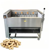Industriële elektrische groente- en fruitwasmachine, borstelwasmachine, fruit- en appelwasser