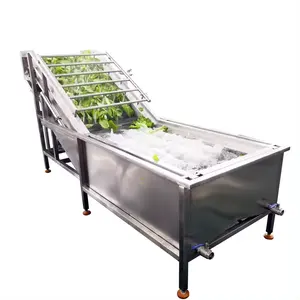 Machine de nettoyage de légumes nouvelle conception Machine de nettoyage de légumes à feuilles Machine à laver industrielle de fruits et légumes