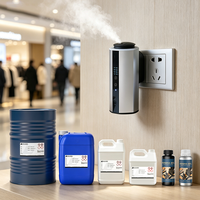 CNUS Vente en gros directe d'usine Huile parfumée pour diffuseur sans eau Recharge de parfum Huile essentielle