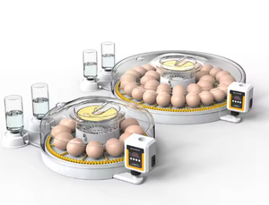 Incubadora Comercial de Pequeña Escala Adecuada para Pollos, Patos, Gansos y Codornices, Versátil para Múltiples Especies - Product Image 2