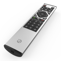 Télécommande universelle vocale en aluminium à 17 touches personnalisée avec technologie RF 2.4G certifiée ROHS, portée de 20 m pour TV et usage domestique