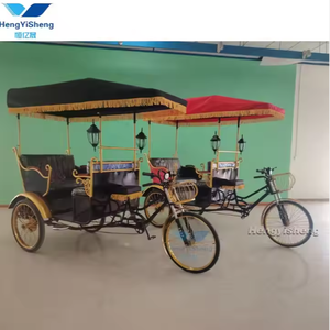 Tricycles électriques à 3 roues de 800W pour le transport spécial de moto électrique de passager d'adultes - Product Image 2