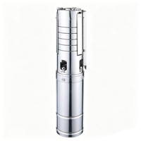 Pompe solaire submersible à courant continu basse tension 48V sans onduleur 4YYD avec turbine en acier inoxydable pour l'approvisionnement en eau des fermes rurales