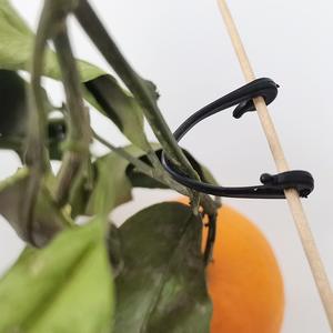 C97 50pcs Cravate Plastique pour Plantes de Jardin Vigne Jardinage Fixation Ligne Boucle Plante <span class=keywords><strong>Support</strong></span> Cravate Rotin Escalade Pots De Fleurs Jardinières - Product Image 3