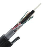 Cable de Fibra Óptica para Interiores de 500M por Rollo, G657A1 G657A2, Diámetro Exterior de 4.6mm, 1F 2F 4F, Negro, LSZH PE