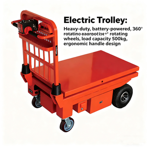 Heavy Duty Electric Lifting <strong>Trolley</strong> with Home Lift System for Electric Hydraulic Lift <strong>Trolley</strong> <strong>Small</strong> Elevator Applications - Product Image 4