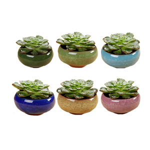 Mini Vaso in Porcellana Art Deco per Piante Grasse e <span class=keywords><strong>Cactus</strong></span> <span class=keywords><strong>con</strong></span> Foro, Vaso da Tavolo Ecologico per Piante Aeree - Product Image 2