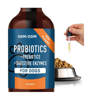 OEM / ODM Gouttes liquides probiotiques pour animaux de compagnie, supplément favorisant la santé du système digestif et immunitaire pour chiens et chats avec prébiotiques et enzymes