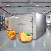 Séchoir à fruits à alimentation thermique au charbon, machine de séchage d'ananas, machine de séchage de mangues