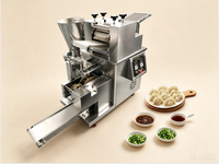 Machine à faire des raviolis compacte et mini pour la maison, fonctionnement manuel pour le comptoir de cuisine, machine à emballer les raviolis