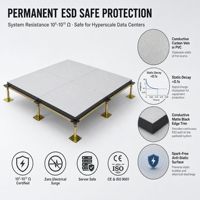 Dalles de plancher surélevé mobiles antistatiques en sulfate de calcium avec revêtement PVC 600x600x32mm pour centre de données, importateur OEM SENMAI
