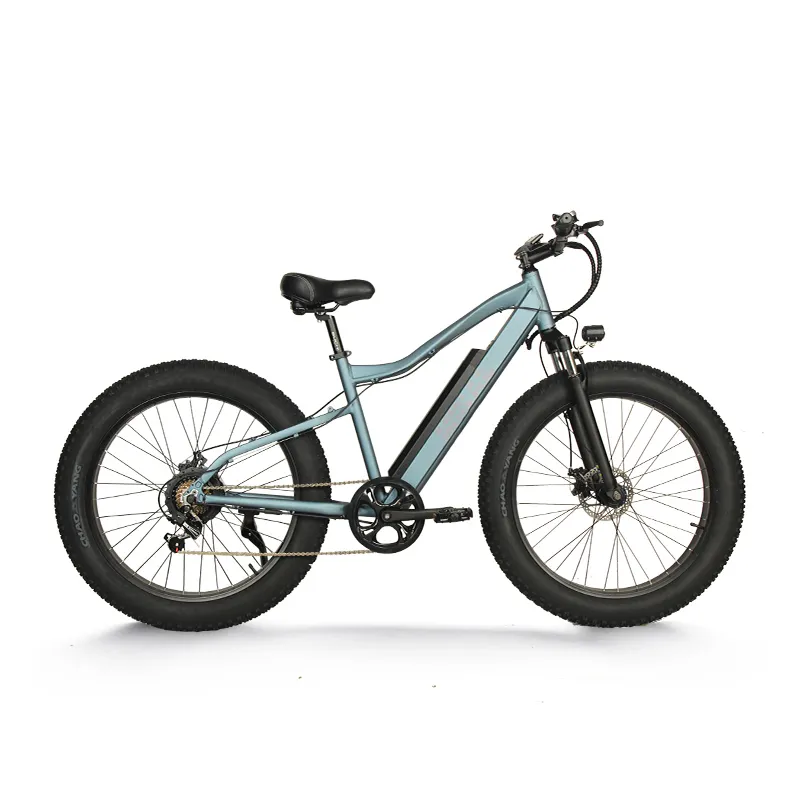 Nuovo Design in lega di alluminio Mountain Fat Frame E-bike 750w 48v 10.5ah batteria al litio bicicletta elettrica