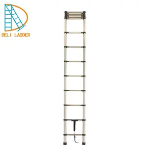 Telescopische Ladder Hoge Kwaliteit Rvs 2023 Nieuw Item 3.8 M Enkele Rechte Ladders Industriële Ladders