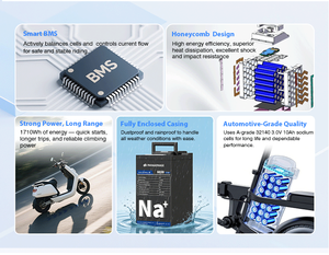 Paragonage Электрический аккумулятор для мотоцикла <span class=keywords><strong>45V</strong></span> 60V 20Ah 30Ah натриевый Аккумулятор для мотоцикла - Product Image 4