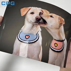 Premium Manufacturer Wholesale Resin Coated RC Lustre Photo Paper 260gsm Double Sided Photo Paper - Product Image 2