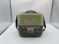 Ensemble de boîtes isothermes en acier inoxydable de 3,6 L, boîte à lunch portable avec sac isotherme, cuillère et fourchette