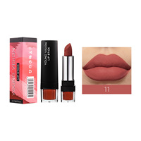 YOUNG VISION Rouge à lèvres mat longue tenue anti-transfert, tube transparent noir, OEM ODM