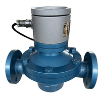 Medidor de flujo hidráulico de hierro fundido Jingjie DN25, instrumento de medición de flujo de pintura, conexión de brida para motor de agua OEM