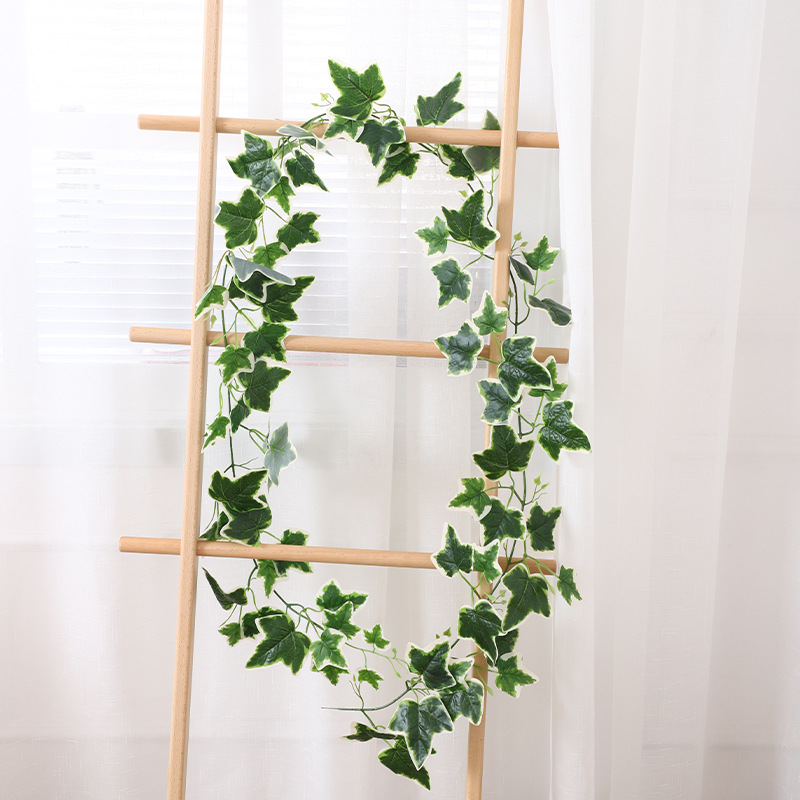 Hojas de parra con borde blanco y nervadura metálica.