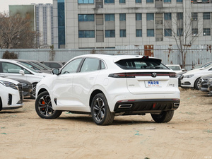 Hangan-coche híbrido enchufable, 1,5 T, 135km - Product Image 5