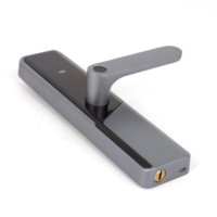 Anxia Cat Eye Carte vidéo à distance déverrouillée Home Connect Tuya Wifi App Fingerprint Gate Digital Smart Lock avec caméra