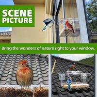 Mangeoire à oiseaux transparente pour fenêtre d'oiseau avec crochets auto-adhésifs non marquants Mangeoire à oiseaux extérieure à fenêtre transparente pour l'extérieur