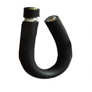 Câbles EV pour bornes de recharge de véhicules électriques, usage informatique, 16A, alliage d'aluminium, <span class=keywords><strong>isolation</strong></span> FEP, indice de protection IP66, moyenne tension 3*2.5+0.75 - Product Image 1