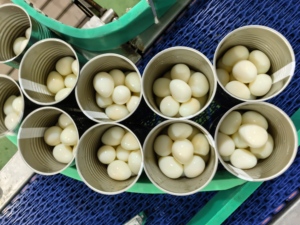 Uova di quaglia di alta qualità fornite direttamente dal produttore cinese, uova da tavola bollite, molto richieste. - Product Image 1