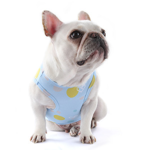 Gilet rafraîchissant d'été Cayj pour chiens – Prévention des coups de chaleur – Modèle fin bleu et rose - Product Image 4