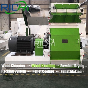 RICHI 1-100 T/H Dừa Sợi Trấu Nhà Máy Viên Nhiên Liệu Sinh Học Để Sản Xuất - Product Image 3