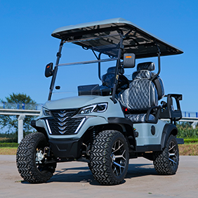 Carrito de Golf Eléctrico Individual de Metal, Modelo 2026 Rainbow, Personalizable, con Motor de CA de 5KW, 4 Plazas, Batería de Litio de 48V, <span class=keywords><strong>para</strong></span> Campos de Golf - Product Image 4