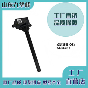 Bobina de Encendido Dongfeng 6494203 para Motor de Gas Natural Tianlong KL, Pieza de Repuesto - Product Image 5