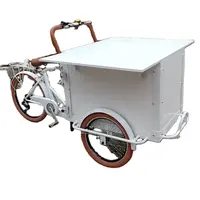 Triciclo adulto barato da bicicleta da roda de carga 3 com moldura de alumínio