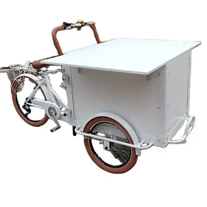 OEM最畅销的货运自行车3轮自行车廉价电动成人三轮车，带铝制框架