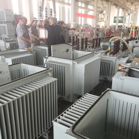 Transformateur d'extérieur fiable Leineng 100 kVA 11 kV à trois phases, bobinage en cuivre anticorrosion pour le programme d'électrification côtière du Gabon