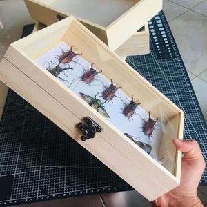 Natural Wooden Storage Box with Hinged Lid and Front Clasp Pine Wood Box Wood Glass Top Enclosed <b>Display</b> <b>Case</b> - Product Image 5