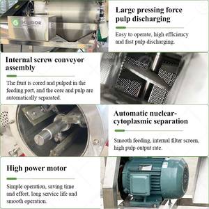Tamarind Juice Strawberry Beating Pulper <strong>Pulp</strong> <strong>Extractor</strong> Banana Puree Make Fruits Pulpe Extraction <strong>Machine</strong> - Product Image 3