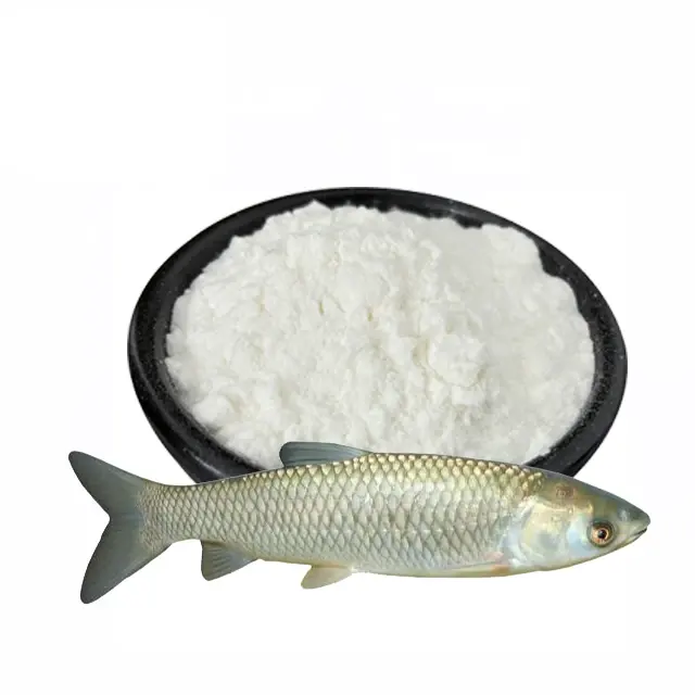 حار بيع الأسماك البحرية العظام الكولاجين مسحوق Oligopeptide